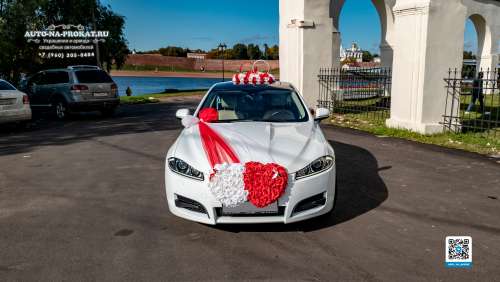 Вариант украшений для свадебного авто №28