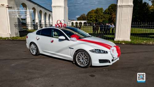 Вариант украшений для свадебного авто №28