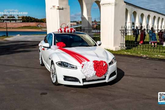 Вариант украшений для свадебного авто №28