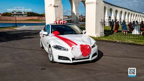 Вариант украшений для свадебного авто №28