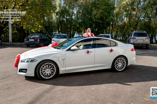 Вариант украшений для свадебного авто №28