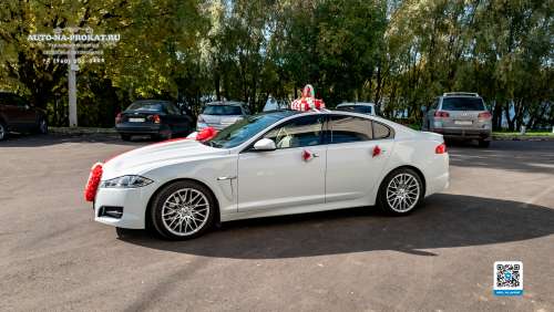 Вариант украшений для свадебного авто №28