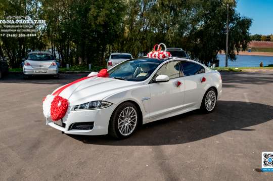 Вариант украшений для свадебного авто №28