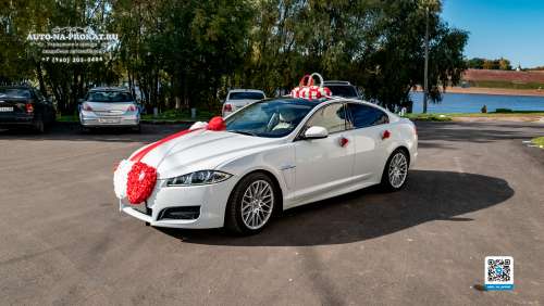 Вариант украшений для свадебного авто №28