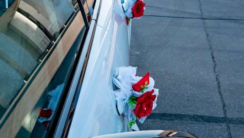 Вариант украшений для свадебного авто №28