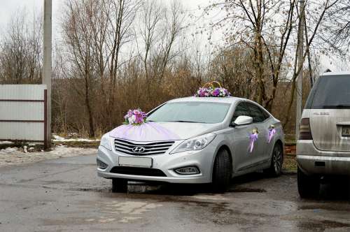 Hyundai Grandeur и вариант украшения №57