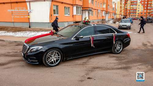 Вариант украшений для свадебного авто №31