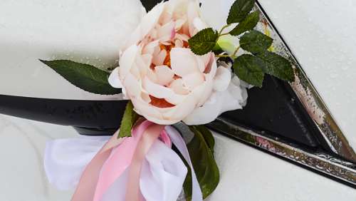 Вариант украшений для свадебного авто №14