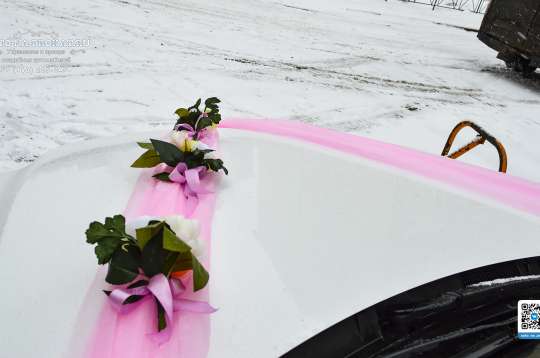 Вариант украшений для свадебного авто №14