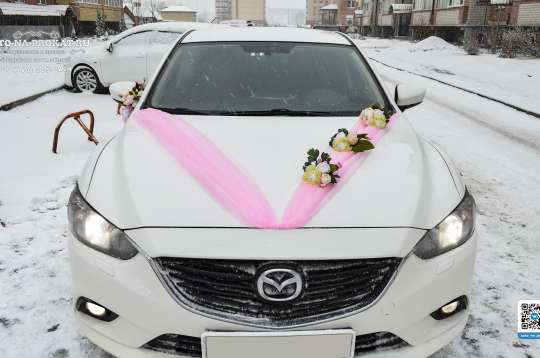 Вариант украшений для свадебного авто №14