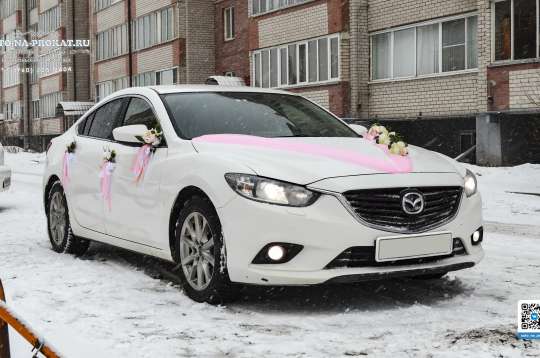 Вариант украшений для свадебного авто №14