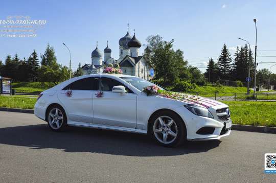 Вариант украшений для свадебного авто №17