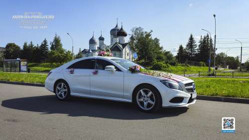 Вариант украшений для свадебного авто №17