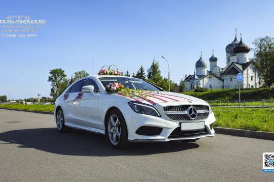 Вариант украшений для свадебного авто №17