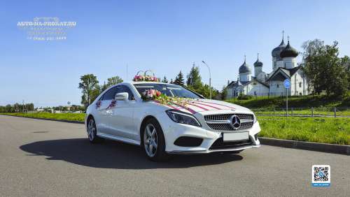 Вариант украшений для свадебного авто №17