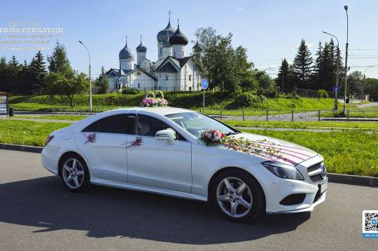 Вариант украшений для свадебного авто №17