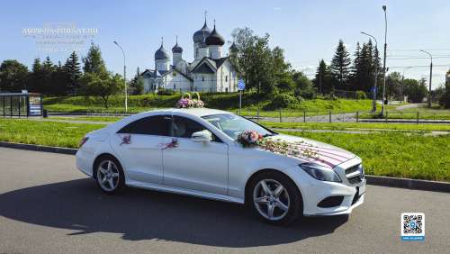 Вариант украшений для свадебного авто №17