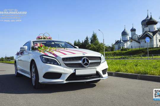 Вариант украшений для свадебного авто №17