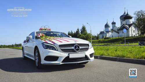 Вариант украшений для свадебного авто №17