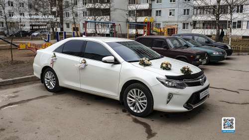 Вариант украшений для свадебного авто №15