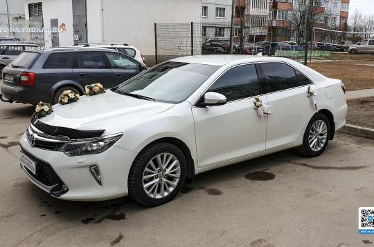 Вариант украшений для свадебного авто №15