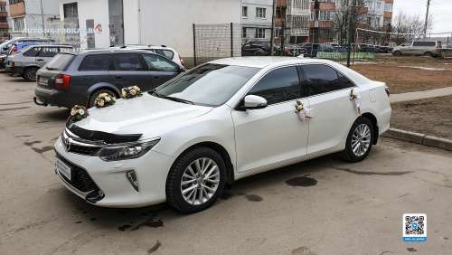 Вариант украшений для свадебного авто №15