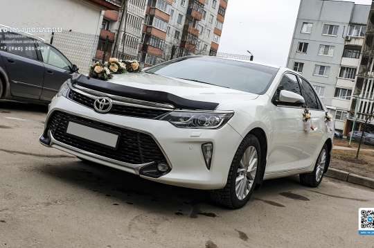 Вариант украшений для свадебного авто №15