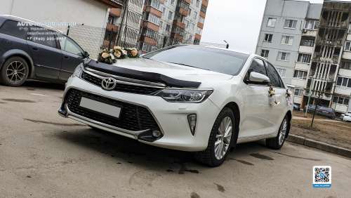 Вариант украшений для свадебного авто №15