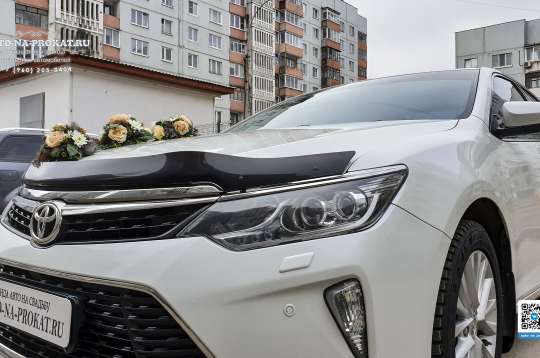 Вариант украшений для свадебного авто №15