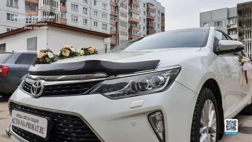 Вариант украшений для свадебного авто №15