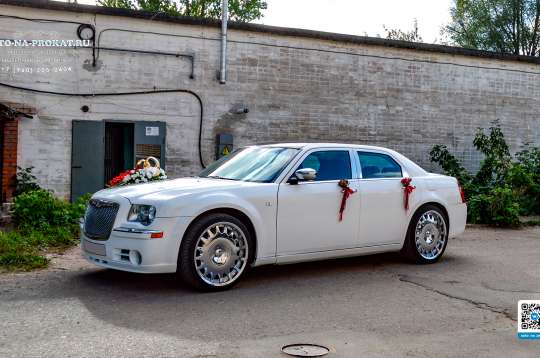 Вариант украшений для свадебного авто №32