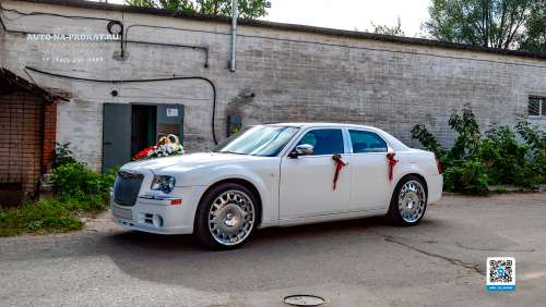 Вариант украшений для свадебного авто №32