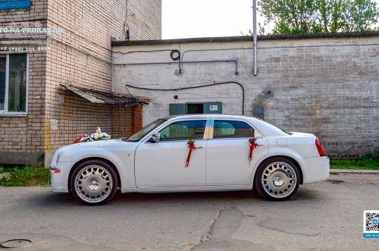Вариант украшений для свадебного авто №32
