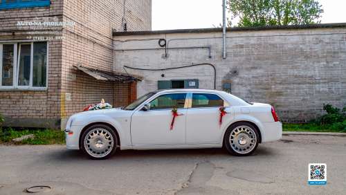 Вариант украшений для свадебного авто №32