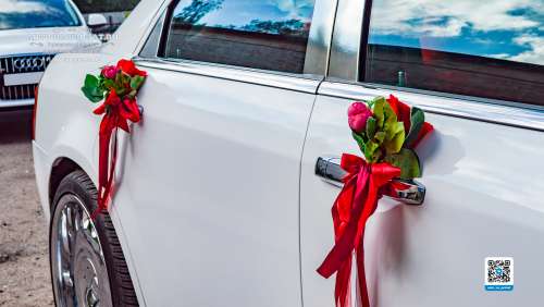 Вариант украшений для свадебного авто №32