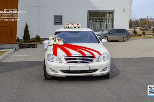Вариант украшений для свадебного авто №66
