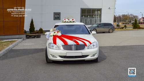 Вариант украшений для свадебного авто №66