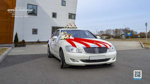 Вариант украшений для свадебного авто №66