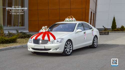 Вариант украшений для свадебного авто №66