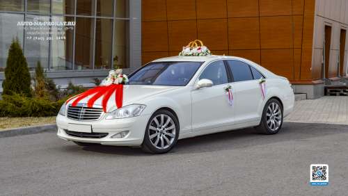 Вариант украшений для свадебного авто №66