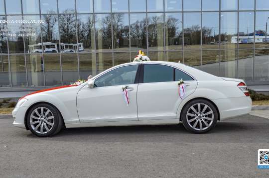 Вариант украшений для свадебного авто №66