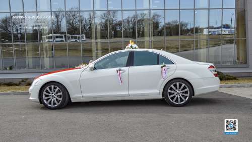 Вариант украшений для свадебного авто №66