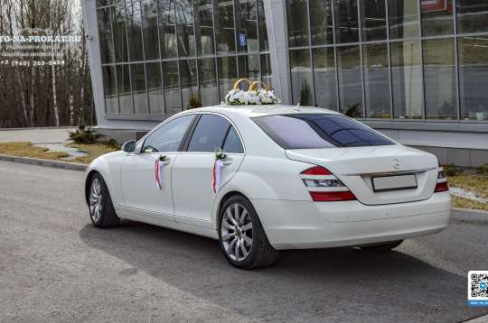 Вариант украшений для свадебного авто №66