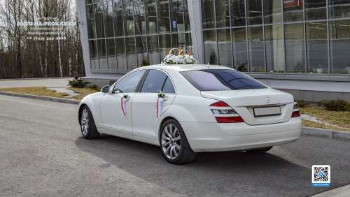 Вариант украшений для свадебного авто №66