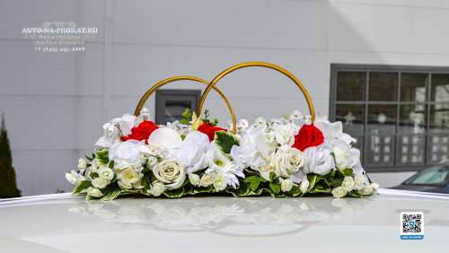 Вариант украшений для свадебного авто №66