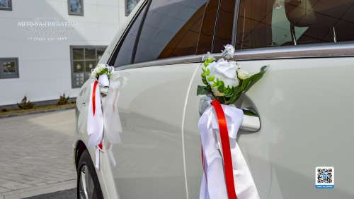 Вариант украшений для свадебного авто №66