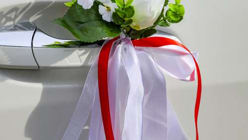 Вариант украшений для свадебного авто №66