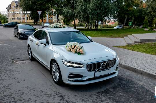 Вариант свадебного украшения 33