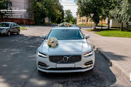 Вариант свадебного украшения 33