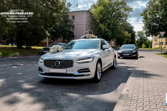 Вариант свадебного украшения 33